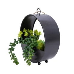 23cm Succulent Artificial Plant In Black Metal Pot 5 23cm Succulent Artificial Plant In Black Metal Pot -Deals Good Garden Tool Store 23cm succulent artificial plant in black metal pot5010795682485 03c bq