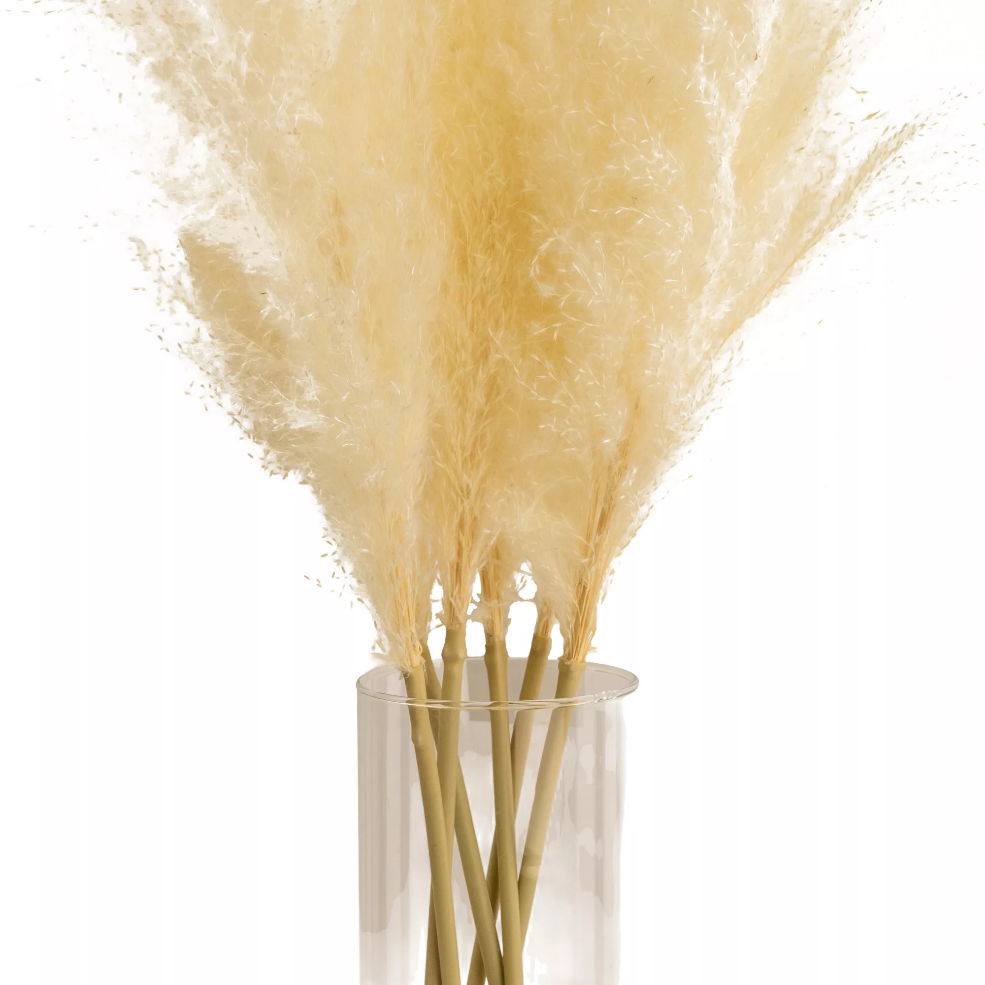 64cm White Pampas Grass Artificial Plant In Clear Glass Vase 2 64cm White Pampas Grass Artificial Plant In Clear Glass Vase - Image 2