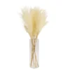 64cm White Pampas Grass Artificial Plant In Clear Glass Vase