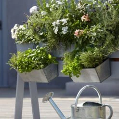 Blooma Rural Argent Metal Rectangular Trough -Deals Good Garden Tool Store blooma rural argent metal rectangular trough3663602733911 02bq