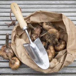 Burgon & Ball RHS Transplanter -Deals Good Garden Tool Store burgon ball rhs transplanter5019360008415 01i bq