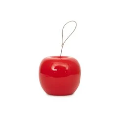 CJ Wildlife Ceramic Feeder Bird Mixes Red Apple Bird Feeder 0.5L -Deals Good Garden Tool Store cj wildlife ceramic feeder bird mixes red apple bird feeder 0 5l5051054276304 03c