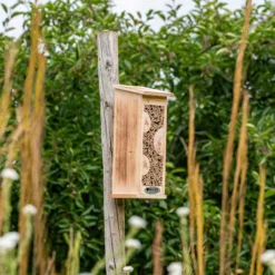 CJ Wildlife Floreana Natural Insect House -Deals Good Garden Tool Store cj wildlife floreana natural insect house5051054255316 01i