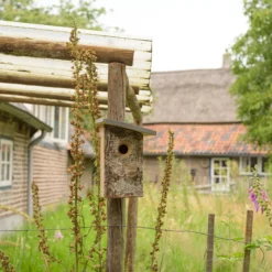 CJ Wildlife Kopervik Natural Nest Box 9 CJ Wildlife Kopervik Natural Nest Box -Deals Good Garden Tool Store cj wildlife kopervik natural nest box5051054263069 01i