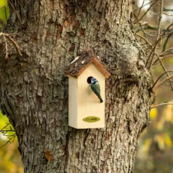 CJ Wildlife Larvik Natural Nest Box -Deals Good Garden Tool Store cj wildlife larvik natural nest box5051054264639 02i