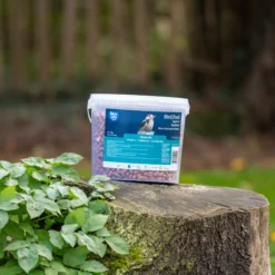 CJ Wildlife Peanuts 3kg 5 CJ Wildlife Peanuts 3kg -Deals Good Garden Tool Store cj wildlife peanuts 3kg5051054259192 01i