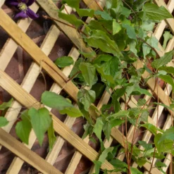 Forest Garden Trellis Natural Timber Rectangular Planter (H) 137cm X (W) 80cm -Deals Good Garden Tool Store forest garden trellis natural timber rectangular planter h 137cm x w 80cm5013053190616 02i