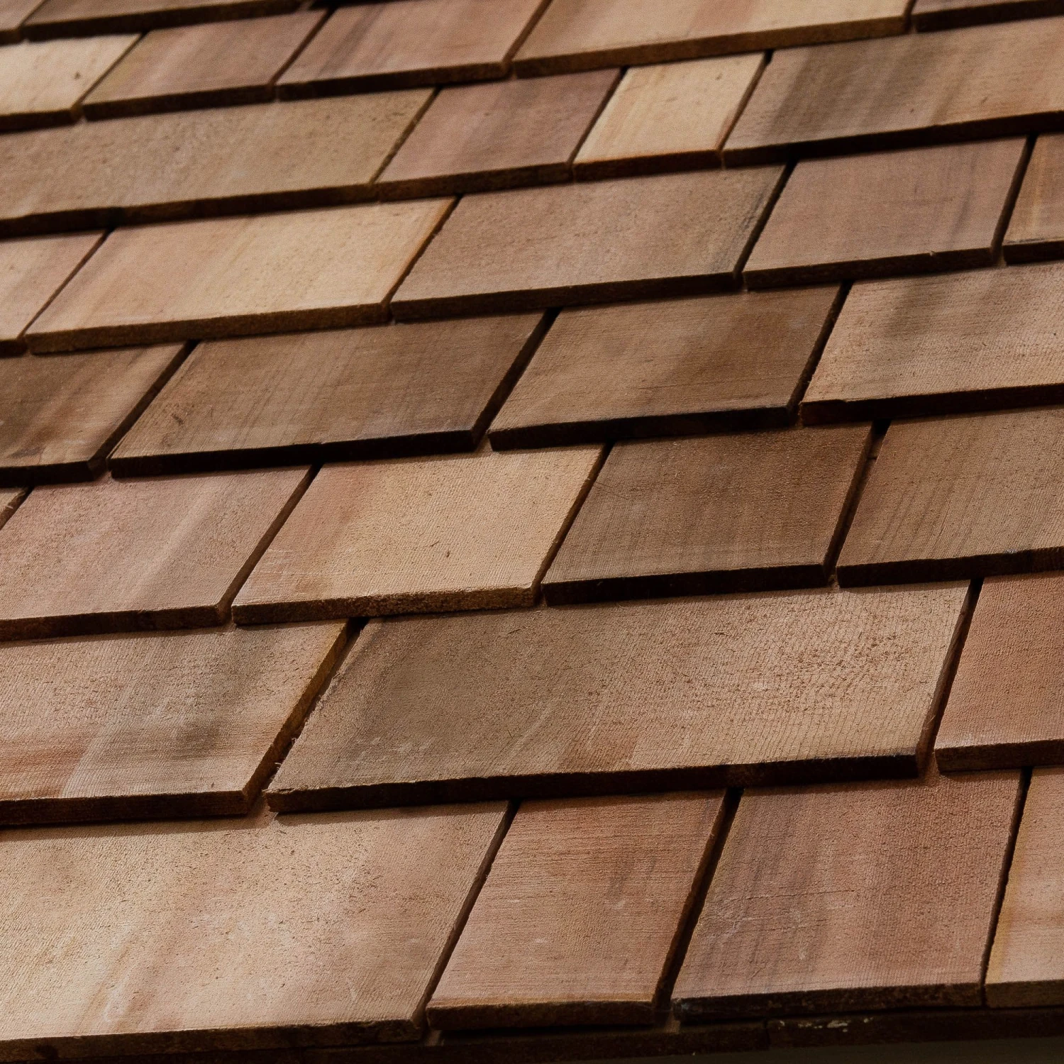 Forest Retreat 6X4 Apex Pressure Treated Overlap Cream Shed With Floor - Assembly Service Included 10 Forest Retreat 6X4 Apex Pressure Treated Overlap Cream Shed With Floor - Assembly Service Included - Image 10