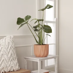 GoodHome Lummi Natural Terracotta Geometric Stripes Circular Plant Pot (Dia)20.5cm -Deals Good Garden Tool Store goodhome lummi natural terracotta geometric stripes circular plant pot dia 20 5cm5059340327945 01i