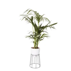 GoodHome Metal Pot Stand -Deals Good Garden Tool Store goodhome metal pot stand3663602442387 21c bq