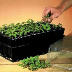 Haxnicks Deep Rootrainer 37cm -Deals Good Garden Tool Store haxnicks deep rootrainer 37cm0651609107012 01i