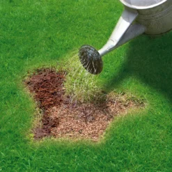 Miracle-Gro Patch Magic Lawn Patch Repairer 13m² 1L 1kg 7 Miracle-Gro Patch Magic Lawn Patch Repairer 13m² 1L 1kg -Deals Good Garden Tool Store miracle gro patch magic lawn patch repairer 13m 1l 1kg5010272090567 02i bq