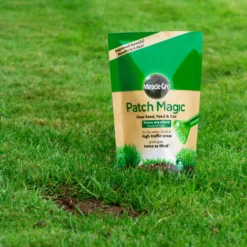 Miracle-Gro Patch Magic Plant Feed 16m² 3.6kg -Deals Good Garden Tool Store miracle gro patch magic plant feed 16m 3 6kg5010272087154 01i bq
