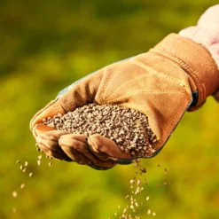 Miracle-Gro Perform Universal Plant Feed Granules 2kg -Deals Good Garden Tool Store miracle gro perform universal plant feed granules 2kg5010272189032 01i BQ