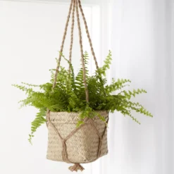 Natural Seagrass Herringbone Round Plant Pot (Dia)20.5cm -Deals Good Garden Tool Store natural seagrass herringbone round plant pot dia 20 5cm3663602442479 06i bq