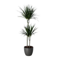 Never Plant In 24cm Assorted Ceramic Decorative Pot 5 Never Plant In 24cm Assorted Ceramic Decorative Pot -Deals Good Garden Tool Store never plant in 24cm assorted ceramic decorative pot5059340827834 22c