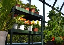 Palram - Canopia 2 Tier Greenhouse Staging -Deals Good Garden Tool Store palram canopia 2 tier greenhouse staging7290103121372 04i