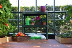 Palram - Canopia 2 Tier Greenhouse Staging -Deals Good Garden Tool Store palram canopia 2 tier greenhouse staging7290103121372 05i