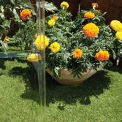 Palram - Canopia Harmony Green 6x6 Greenhouse -Deals Good Garden Tool Store palram canopia harmony green 6x6 greenhouse7290103110864 06i bq