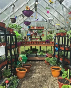 Palram - Canopia Octave Silver Greenhouse 26 Palram - Canopia Octave Silver Greenhouse -Deals Good Garden Tool Store palram canopia octave silver greenhouse7290103111472 05i