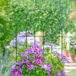 Deals Good Garden Tool Store -Deals Good Garden Tool Store panacea steel plant support frame l 182cm dia 56cm0093432825556 01i bq