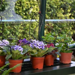 Rion Grand Gardner Green 8x12 Greenhouse -Deals Good Garden Tool Store rion grand gardner green 8x12 greenhouse7290103121587 39c