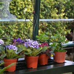 Rion Grand Gardner Green 8x20 Greenhouse -Deals Good Garden Tool Store rion grand gardner green 8x20 greenhouse7290103121648 38c