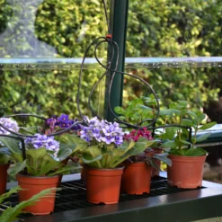 Rion Grand Gardner Green 8x8 Greenhouse -Deals Good Garden Tool Store rion grand gardner green 8x8 greenhouse7290103121570 38c