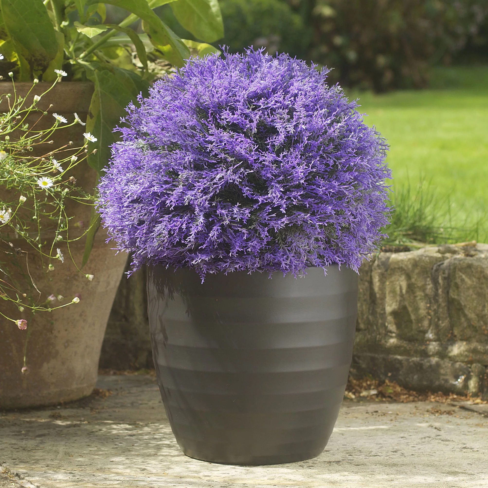 Smart Garden Hazepurple Artificial Topiary Ball 2 Smart Garden Hazepurple Artificial Topiary Ball - Image 2