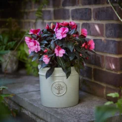 Verve Barcău Olive Ceramic Circular Plant Pot (Dia)20cm -Deals Good Garden Tool Store verve barcau olive ceramic circular plant pot dia 20cm5059340327747 01i