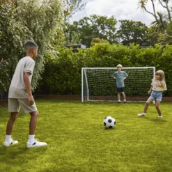 Verve Family & Sports Grass Seeds, 10kg -Deals Good Garden Tool Store verve family sports grass seeds 10kg3663602947516 09i