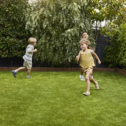 Verve Family & Sports Grass Seeds, 5kg 13 Verve Family & Sports Grass Seeds, 5kg -Deals Good Garden Tool Store verve family sports grass seeds 5kg3663602947516 02i