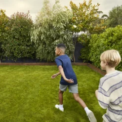 Verve Family & Sports Grass Seeds, 5kg 14 Verve Family & Sports Grass Seeds, 5kg -Deals Good Garden Tool Store verve family sports grass seeds 5kg3663602947516 03i