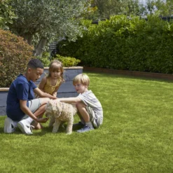 Verve Family & Sports Grass Seeds, 5kg 15 Verve Family & Sports Grass Seeds, 5kg -Deals Good Garden Tool Store verve family sports grass seeds 5kg3663602947516 04i