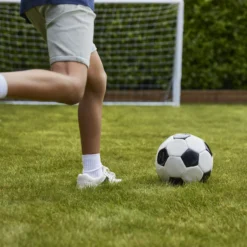 Verve Family & Sports Grass Seeds, 5kg 17 Verve Family & Sports Grass Seeds, 5kg -Deals Good Garden Tool Store verve family sports grass seeds 5kg3663602947516 06i