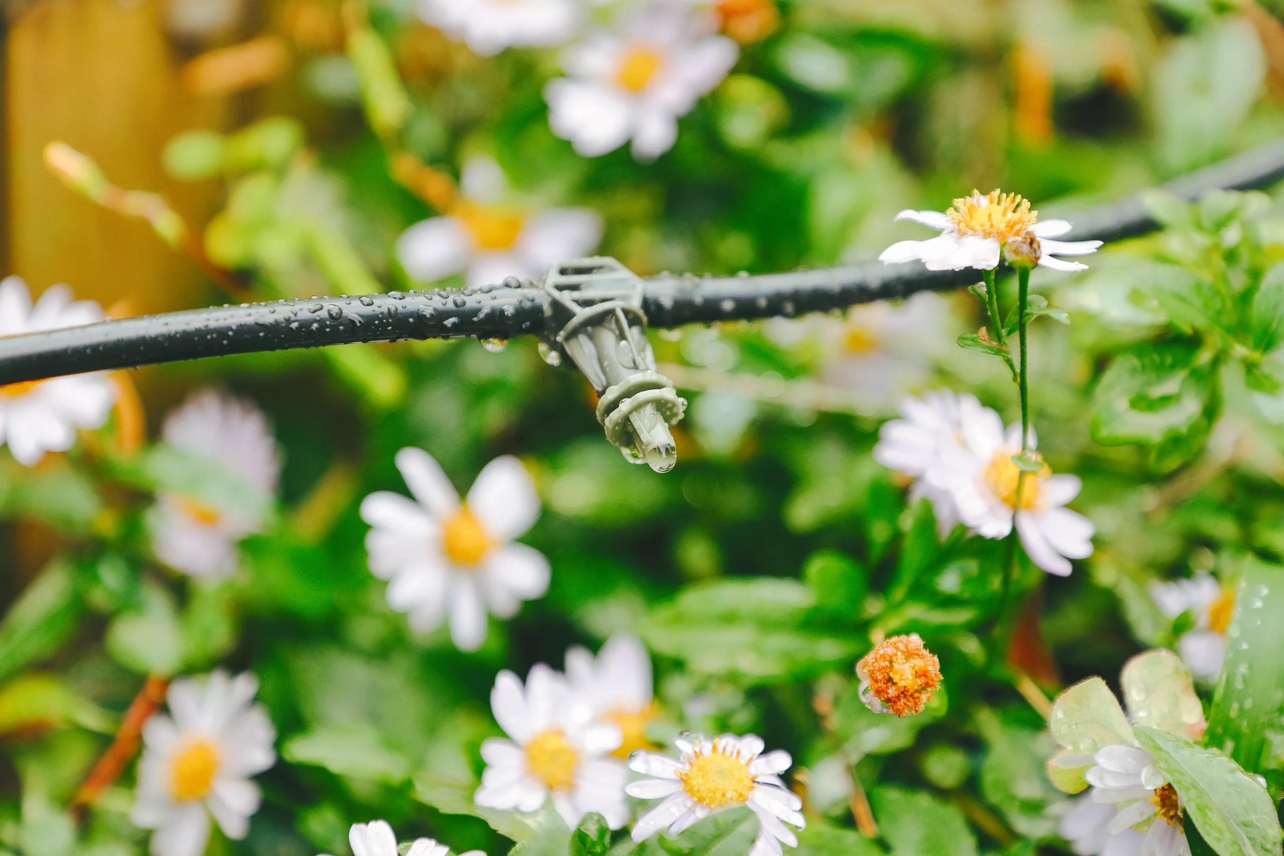 Verve Irrigation Kit 20 Pieces 2 Verve Irrigation Kit 20 Pieces - Image 2