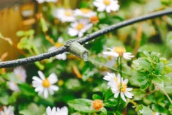 Verve Irrigation Kit 20 Pieces 5 Verve Irrigation Kit 20 Pieces -Deals Good Garden Tool Store verve irrigation kit 20 pieces5063022059888 02i