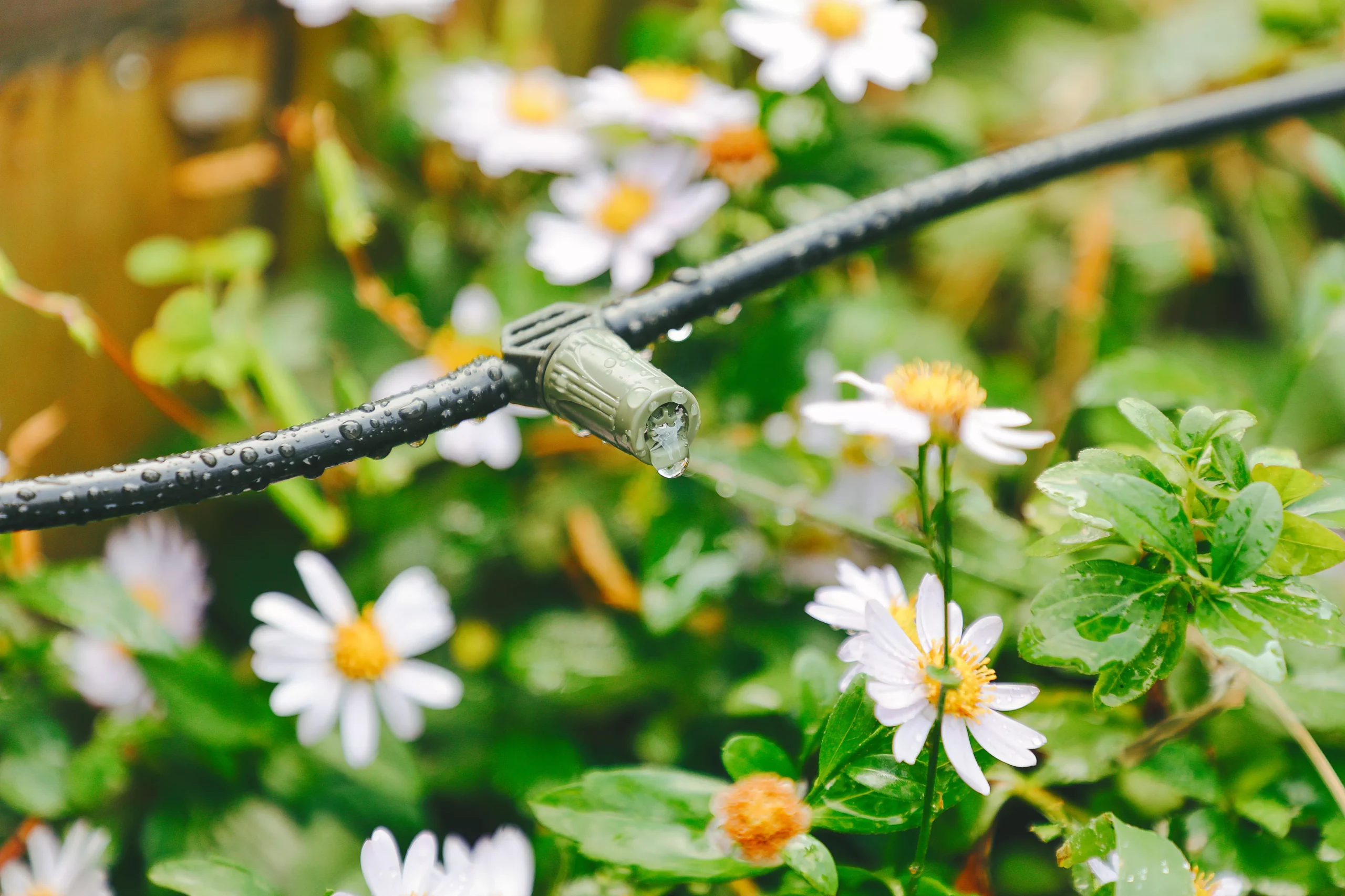 Verve Irrigation Kit 20 Pieces 3 Verve Irrigation Kit 20 Pieces - Image 3