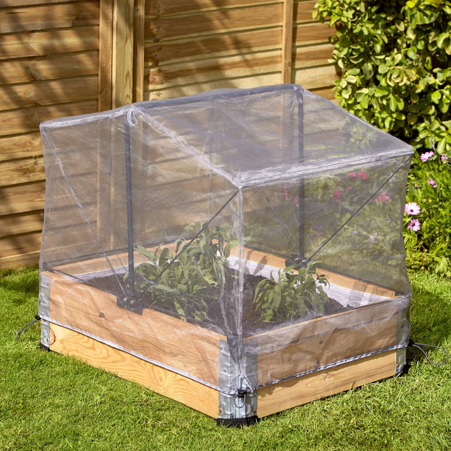 Verve Kitchen Garden Grey Polyphenylene Ether (PPE) & Steel Easy Access Grow Cover, (L)0.8m (W)0.6m 2 Verve Kitchen Garden Grey Polyphenylene Ether (PPE) & Steel Easy Access Grow Cover, (L)0.8m (W)0.6m - Image 2