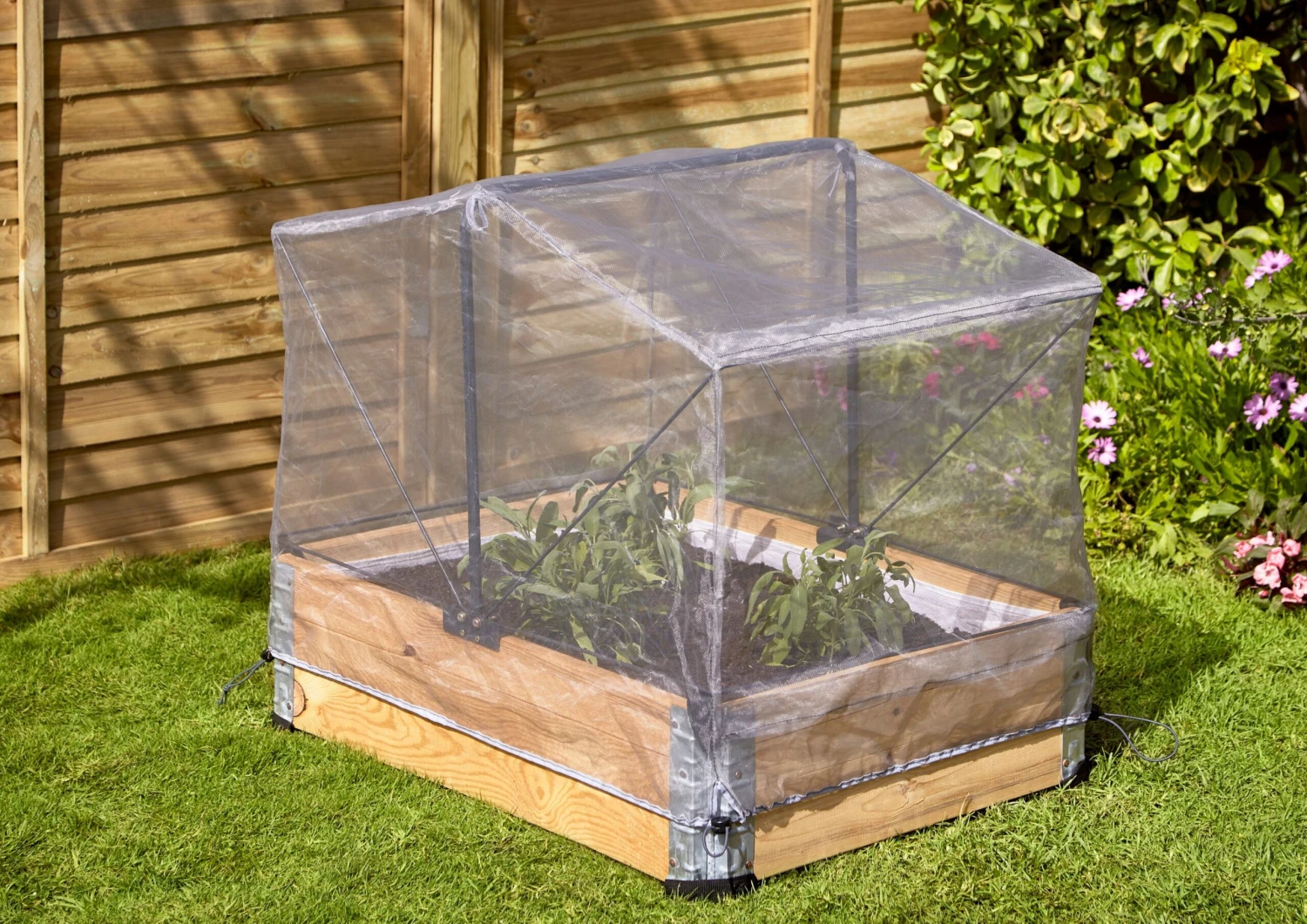 Verve Kitchen Garden Grey Polyphenylene Ether (PPE) & Steel Easy Access Grow Cover, (L)0.8m (W)0.6m 3 Verve Kitchen Garden Grey Polyphenylene Ether (PPE) & Steel Easy Access Grow Cover, (L)0.8m (W)0.6m - Image 3