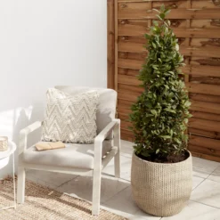 Verve Kulun Beige Knitted Effect Fibreclay Circular Plant Pot (Dia)46cm -Deals Good Garden Tool Store verve kulun beige knitted effect fibreclay circular plant pot dia 46cm5059340327679 01i