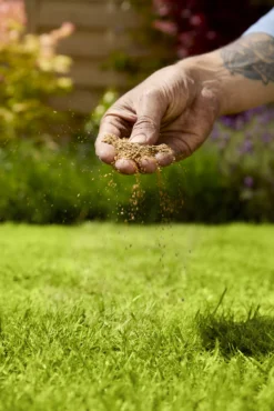 Verve Mamaterra Lawn Feed Granules 100m² 2.5kg -Deals Good Garden Tool Store verve mamaterra lawn feed granules 100m 2 5kg5063022034779 02i