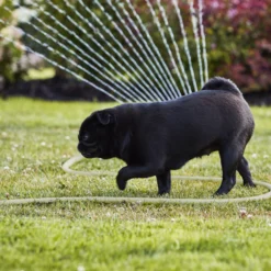 Verve Oscillating Fan Sprinkler -Deals Good Garden Tool Store verve oscillating fan sprinkler5059340251240 07i