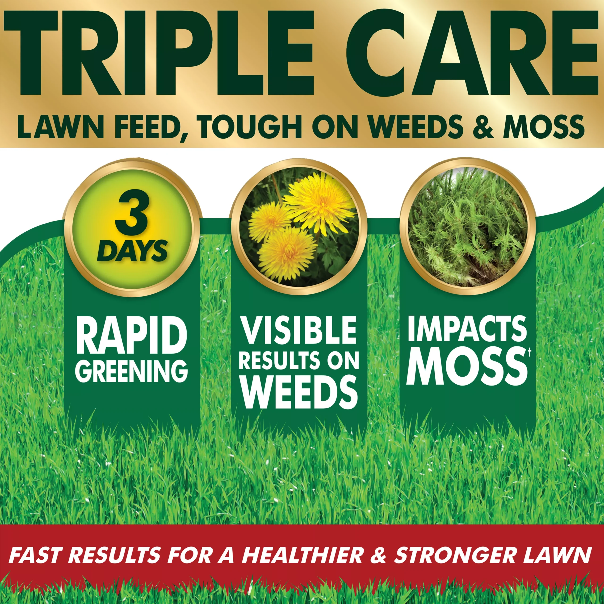 Westland Aftercut Grasses Lawn Fertiliser Granules 160m² 5.44kg 3 Westland Aftercut Grasses Lawn Fertiliser Granules 160m² 5.44kg - Image 3